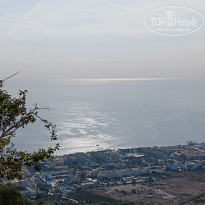 фото из отзыва ID 2741618