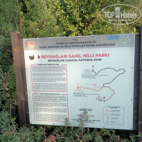 фото из отзыва ID 2741618