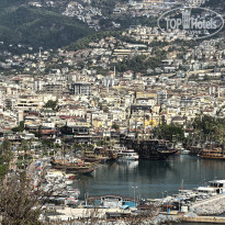 фото из отзыва ID 2741635