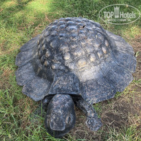 фото из отзыва ID 2741635