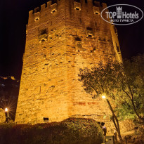 фото из отзыва ID 2741635