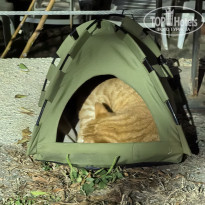 фото из отзыва ID 2741635