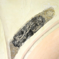 фото из отзыва ID 2741667