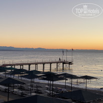 фото из отзыва ID 2741690