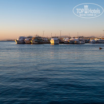 фото из отзыва ID 2740152