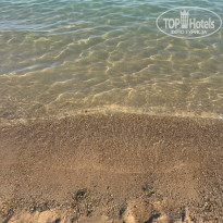 фото из отзыва ID 2741709