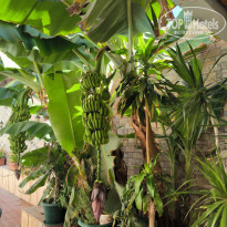 фото из отзыва ID 2741707