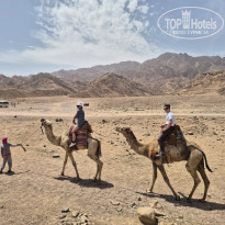 фото из отзыва ID 2741710