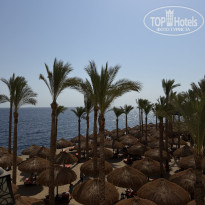 фото из отзыва ID 2741737