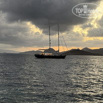 фото из отзыва ID 2741759