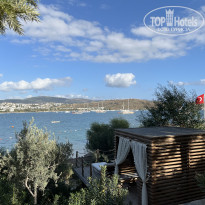 фото из отзыва ID 2741759