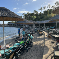 фото из отзыва ID 2741759