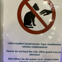 фото из отзыва ID 2741759