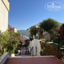 фото из отзыва ID 2741759