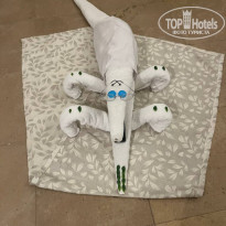 фото из отзыва ID 2741770