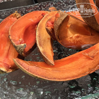 фото из отзыва ID 2741774