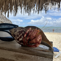 фото из отзыва ID 2741794