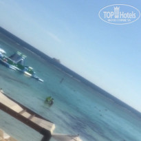 фото из отзыва ID 2741798