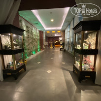 фото из отзыва ID 2741800