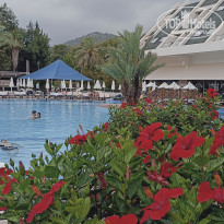 фото из отзыва ID 2741814