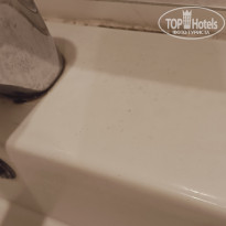 фото из отзыва ID 2741814