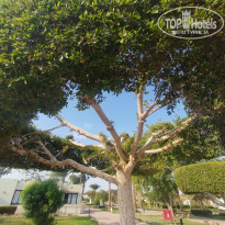 фото из отзыва ID 2741824