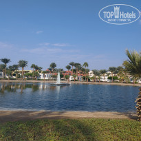 фото из отзыва ID 2741824