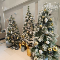 фото из отзыва ID 2741805