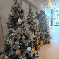 фото из отзыва ID 2741805