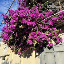 фото из отзыва ID 2741830