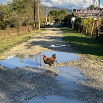 фото из отзыва ID 2741830