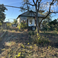 фото из отзыва ID 2741830