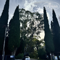 фото из отзыва ID 2741830