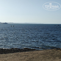 фото из отзыва ID 2741633