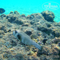 фото из отзыва ID 2741806