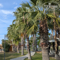 фото из отзыва ID 2741841