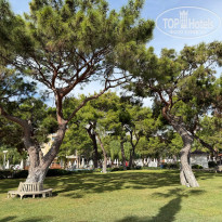 фото из отзыва ID 2741839