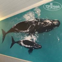 фото из отзыва ID 2741849