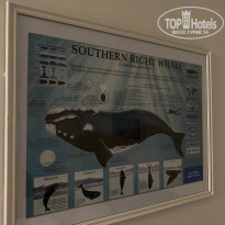 фото из отзыва ID 2741849