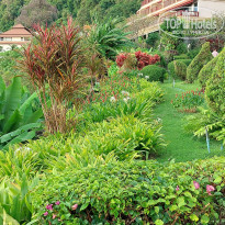 фото из отзыва ID 2741858