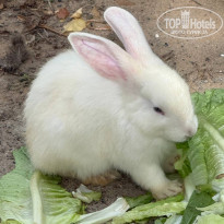 фото из отзыва ID 2741876