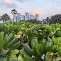 фото из отзыва ID 2741876