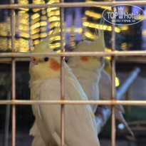 фото из отзыва ID 2741876