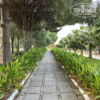 фото из отзыва ID 2741881