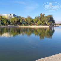 фото из отзыва ID 2741885