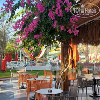 фото из отзыва ID 2741885