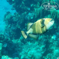 фото из отзыва ID 2741909