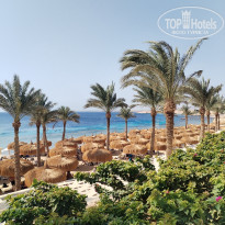 фото из отзыва ID 2741909