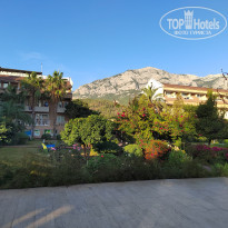 фото из отзыва ID 2741912