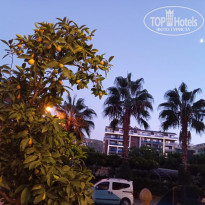 фото из отзыва ID 2741920